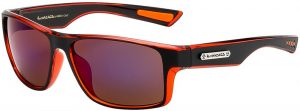 Biohazard Sunglasses - 8BZ66254